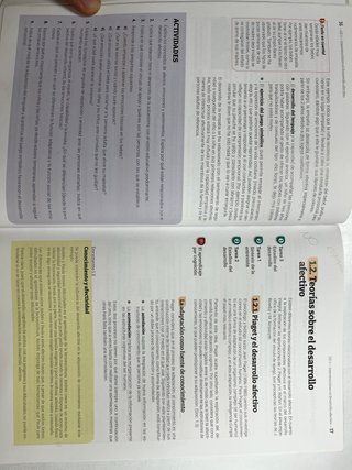 Desarrollo socioafectivo servicios sociocultura...