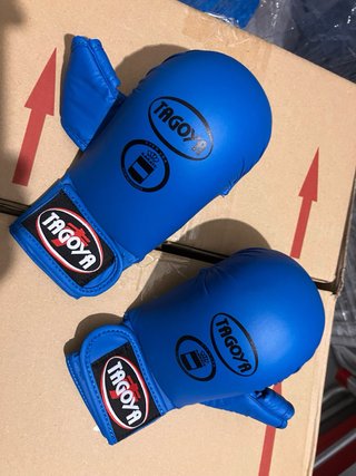 Protecciones Karate Tagoya a estrenar.