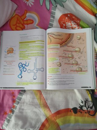 Biología y Geología, 4 ESO, Andalucía