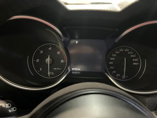 Alfa Romeo Stelvio Q4 2.2 DIESEL 2022 190CV