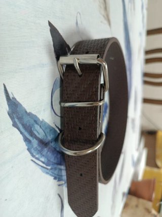 Collar para perro grande (hasta 50kg)