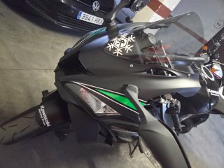 Kawasaki ZX-10RR Negra y Verde