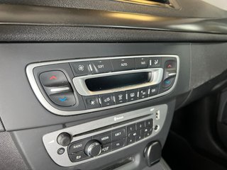 RENAULT MEGANE 2014 - IMPOLUTO
