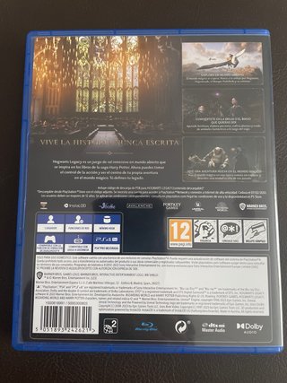 Hogwarts Legacy PS4 (PlayStation 4)