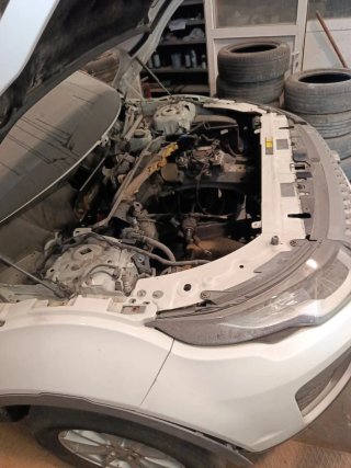 range rover evoque  2016