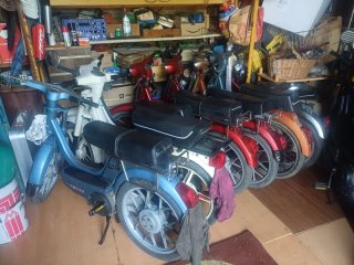 Vespinos.aprilia rx50. Rieju .nl.nlx.sc.gl .