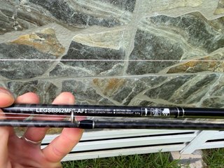Caña Daiwa Legalis Seabass