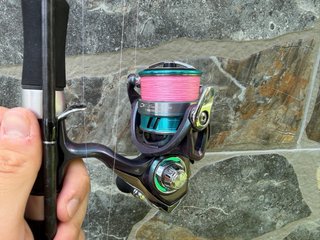 Caña Daiwa Legalis Seabass