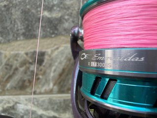 Caña Daiwa Legalis Seabass