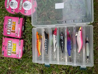 Caña Daiwa Legalis Seabass