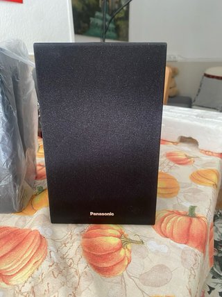 Altavoces Panasonic Negros