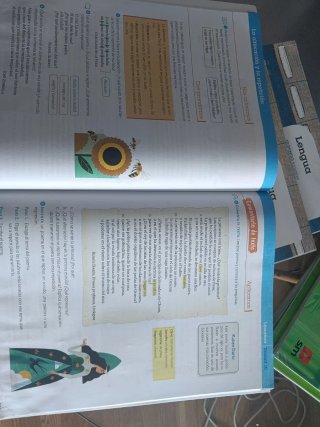 Lengua, 6 Primaria: Contiene Primer trimestre, ...