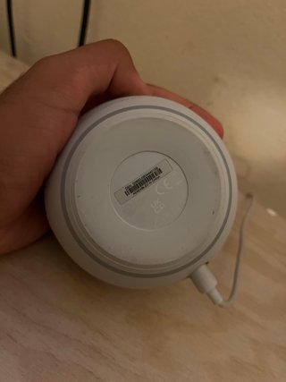 Amazon Echo Dot