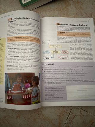Desarrollo socioafectivo servicios sociocultura...
