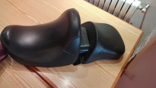 Recambio Harley V Rod
