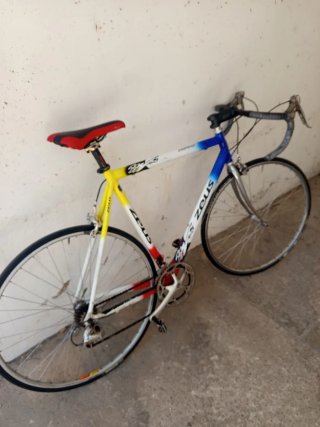 Bici de carretera Zeus Daphine
