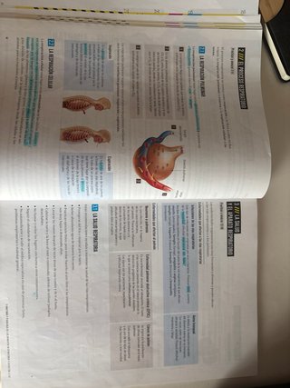 Biología y Geología 3, Secundaria, Fanfest Edel...