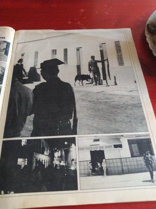 La actualidad española
