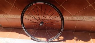 Ruedas de carretera bontrager tlr