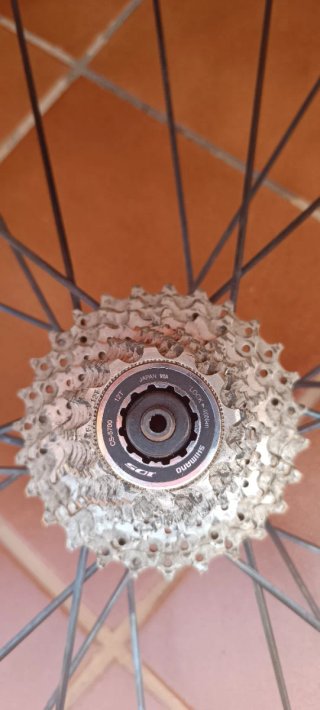 Ruedas de carretera bontrager tlr