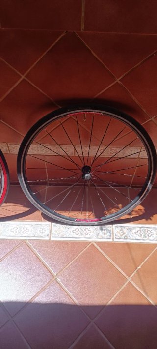 Ruedas de carretera bontrager tlr