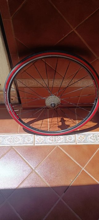 Ruedas de carretera bontrager tlr
