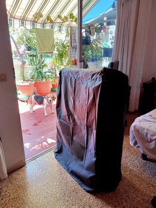 Cama plegable individual con colchón