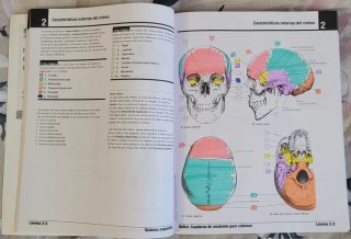 Netter. Cuaderno de anatomía para colorear