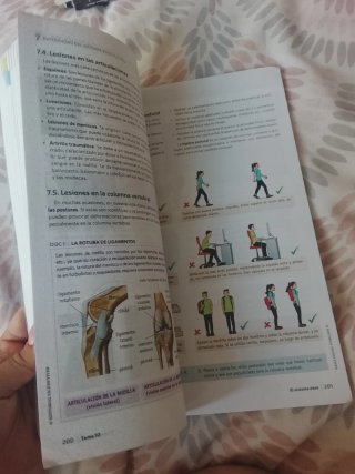 Anatomía Aplicada
