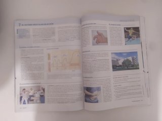 Pero primero de bachillerato anatomía