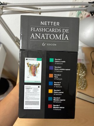 Flash cards anatomía netter elsevier