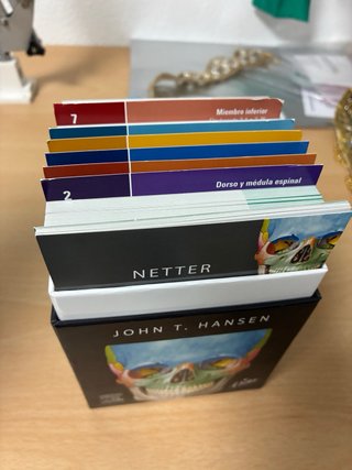 Flash cards anatomía netter elsevier