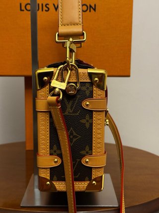 Louis Vuitton Side Trunk MM Bicolor