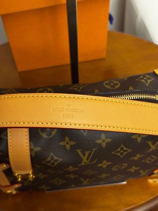 Louis Vuitton Side Trunk MM Bicolor