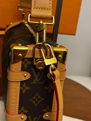 Louis Vuitton Side Trunk MM Bicolor