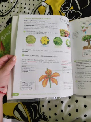 Ciencias da Natureza. 3 Primaria. Revoa