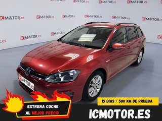 Volkswagen Golf Variant Bluemotion 1.6 TDI 110CV (2014)
