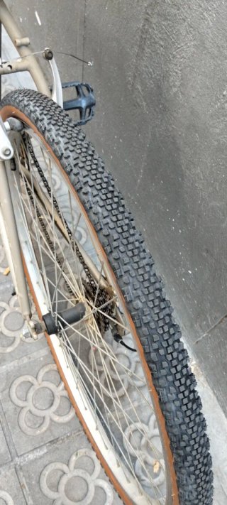 Bicicleta de Montaña