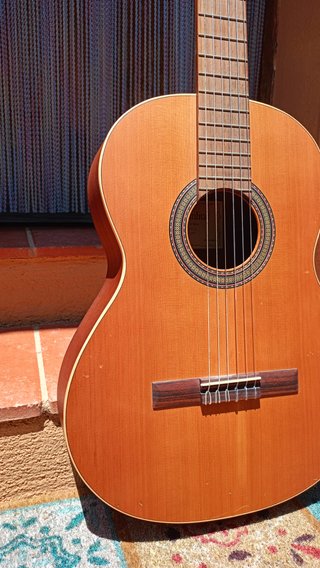 Guitarra Alhambra Z-Nature con funda y soporte
