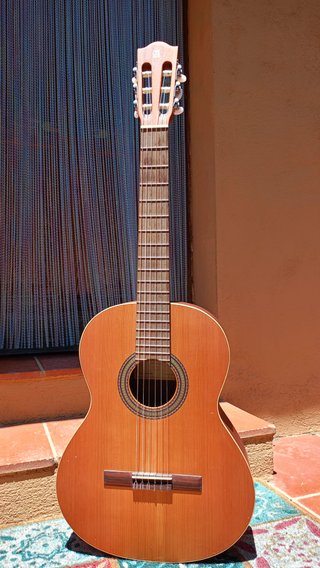 Guitarra Alhambra Z-Nature con funda y soporte