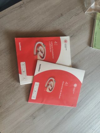 Lengua Castellana y Literatura, 4 ESO, santillana