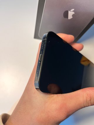iPhone 13 Pro Max 256GB 100% Batería