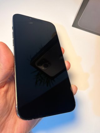 iPhone 13 Pro Max 256GB 100% Batería
