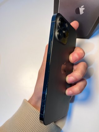 iPhone 13 Pro Max 256GB 100% Batería
