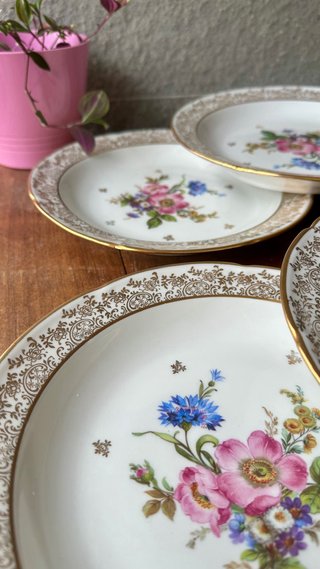 9 platos de porcelana francesa vintage deco floral