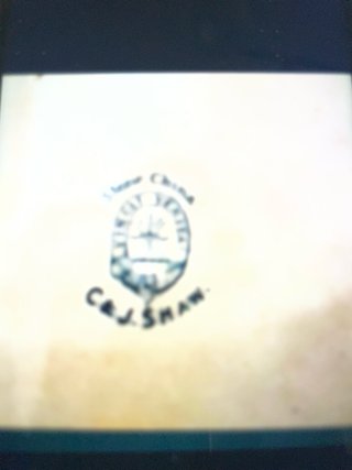 Fuente J.Shaw Vinci Veritas Stone China
