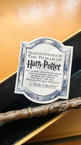 Varita Hermione Granger Noble Collection