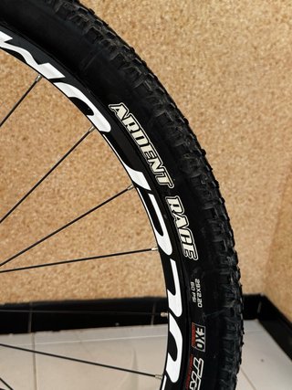 Berria Bravo - Cuadro Carbono