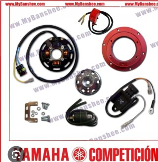 Rotor Banshee RD350 con luces