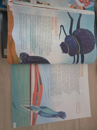 Revola 6 primaria : lengua castellana y literatura